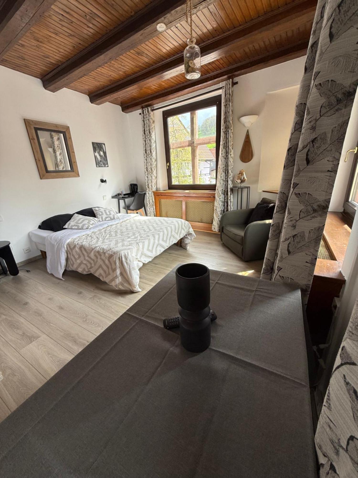 Hotel Wistub Le Passage Sainte-Marie-aux-Mines Zewnętrze zdjęcie